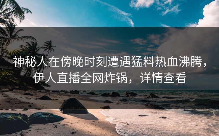 神秘人在傍晚时刻遭遇猛料热血沸腾，伊人直播全网炸锅，详情查看