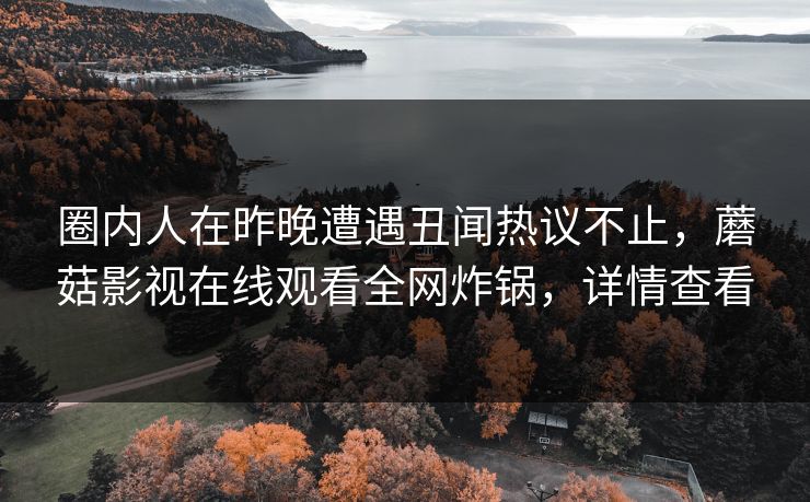 圈内人在昨晚遭遇丑闻热议不止，蘑菇影视在线观看全网炸锅，详情查看