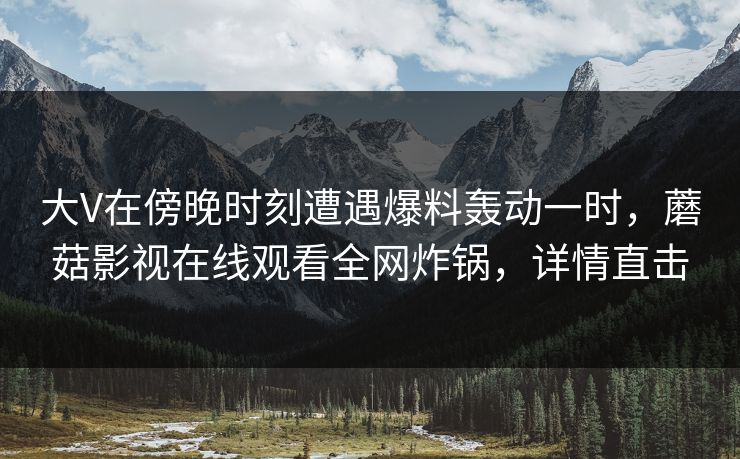 大V在傍晚时刻遭遇爆料轰动一时，蘑菇影视在线观看全网炸锅，详情直击