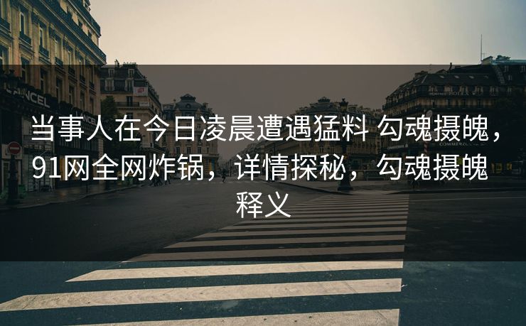 当事人在今日凌晨遭遇猛料 勾魂摄魄，91网全网炸锅，详情探秘，勾魂摄魄 释义
