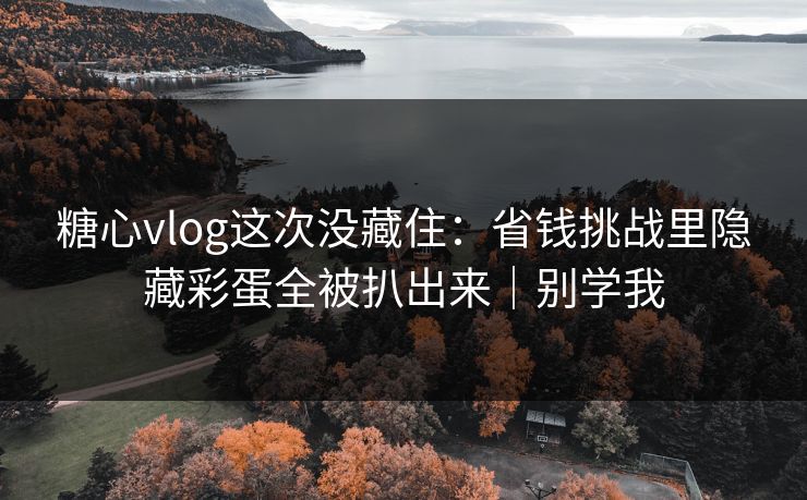 糖心vlog这次没藏住：省钱挑战里隐藏彩蛋全被扒出来｜别学我